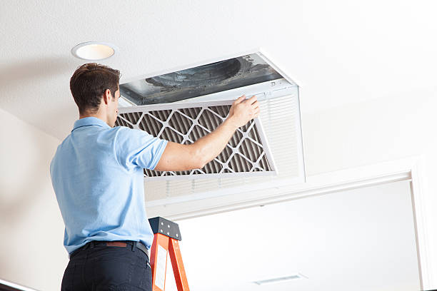 Best HVAC air duct cleaning  in Owosso, MI